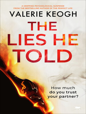The Lies He Told - ebook
